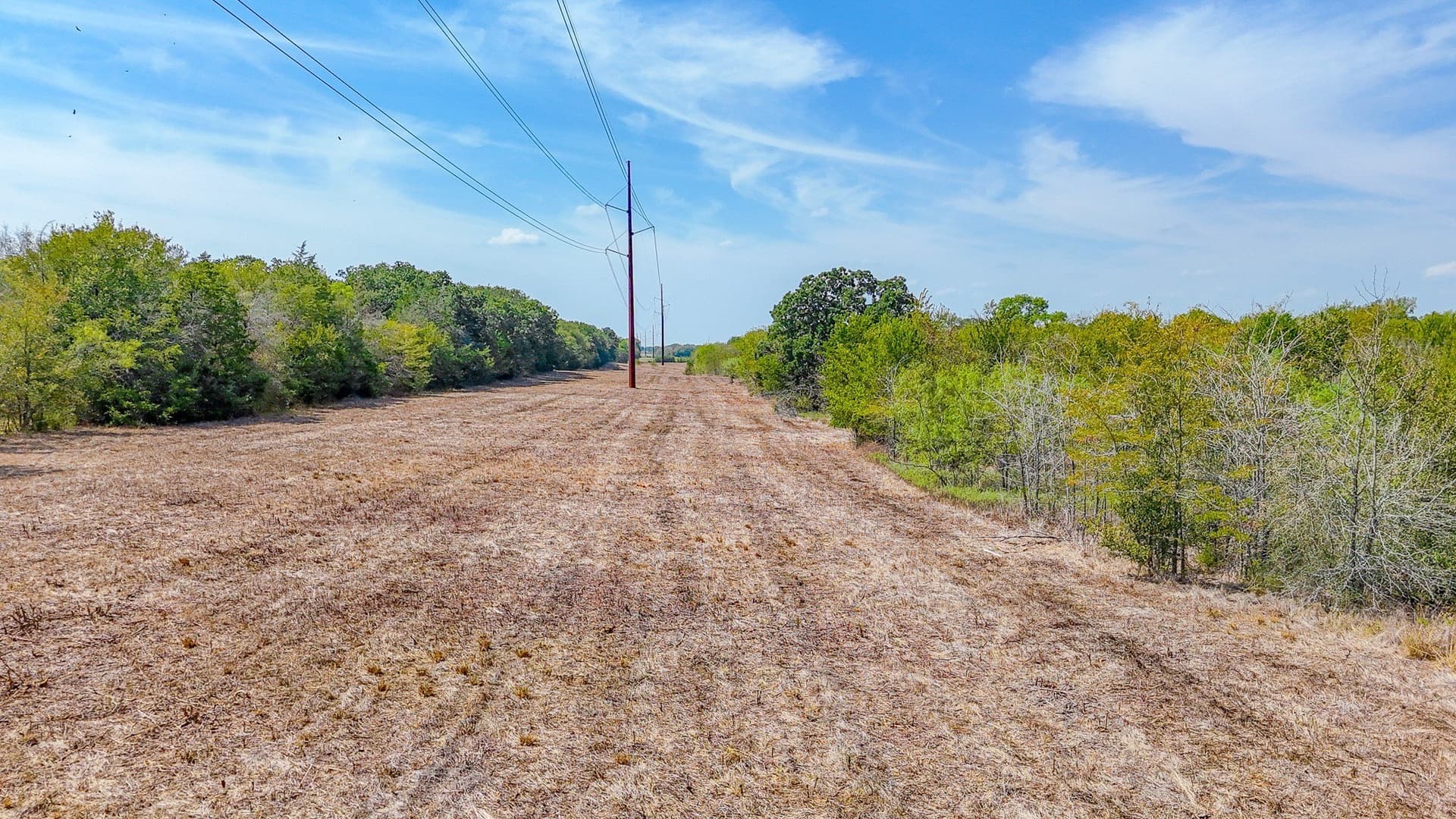 27 acres in Navarro County - photo 17