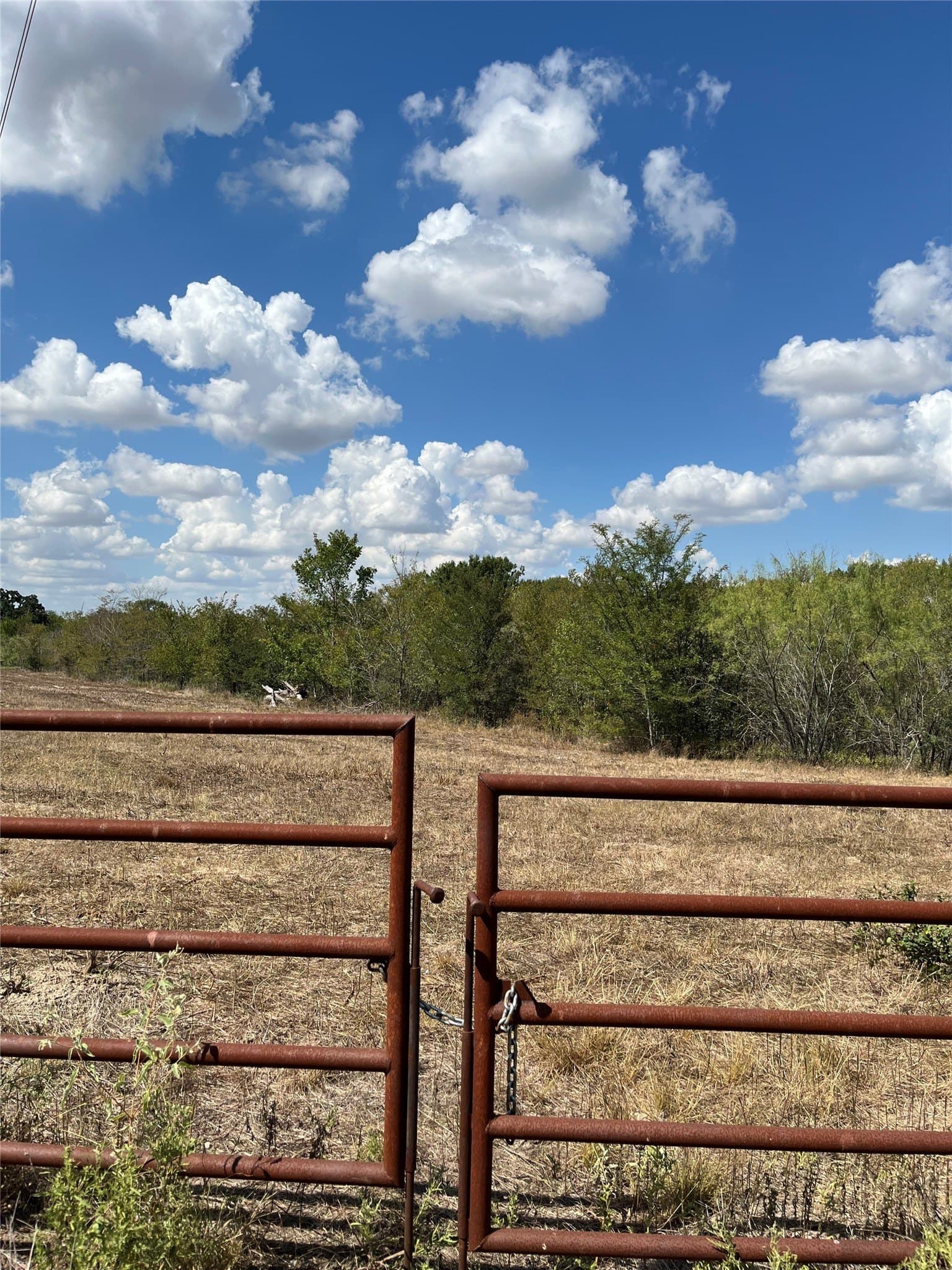 27 acres in Navarro County - photo 34