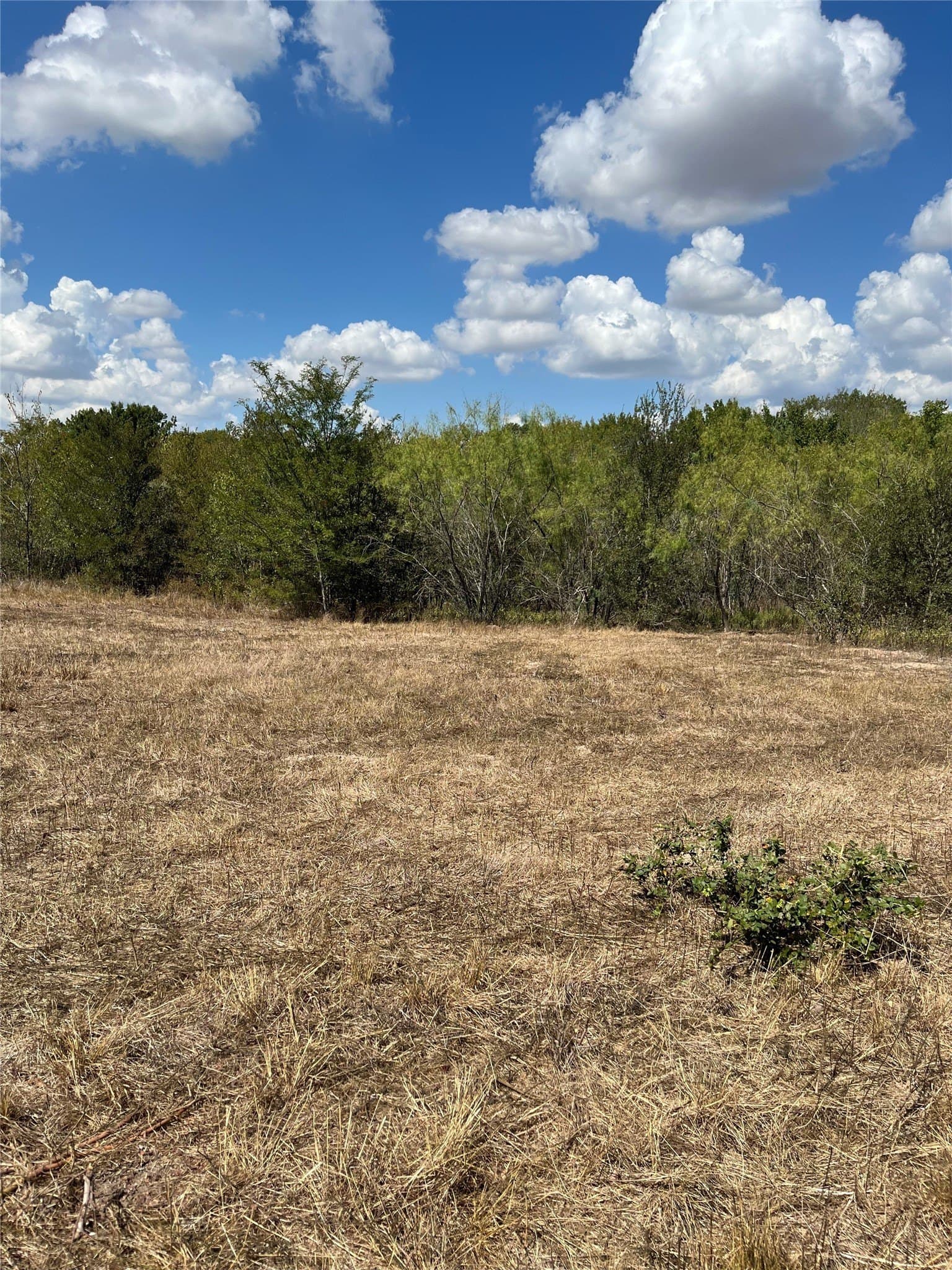 27 acres in Navarro County - photo 31