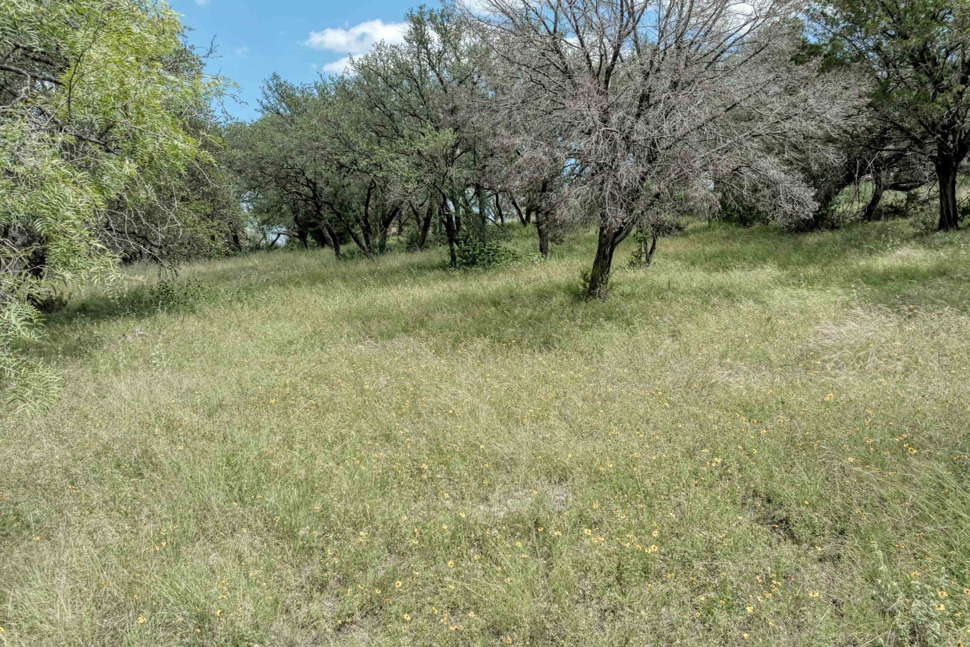 0.27 acres in Llano County gallery image 2