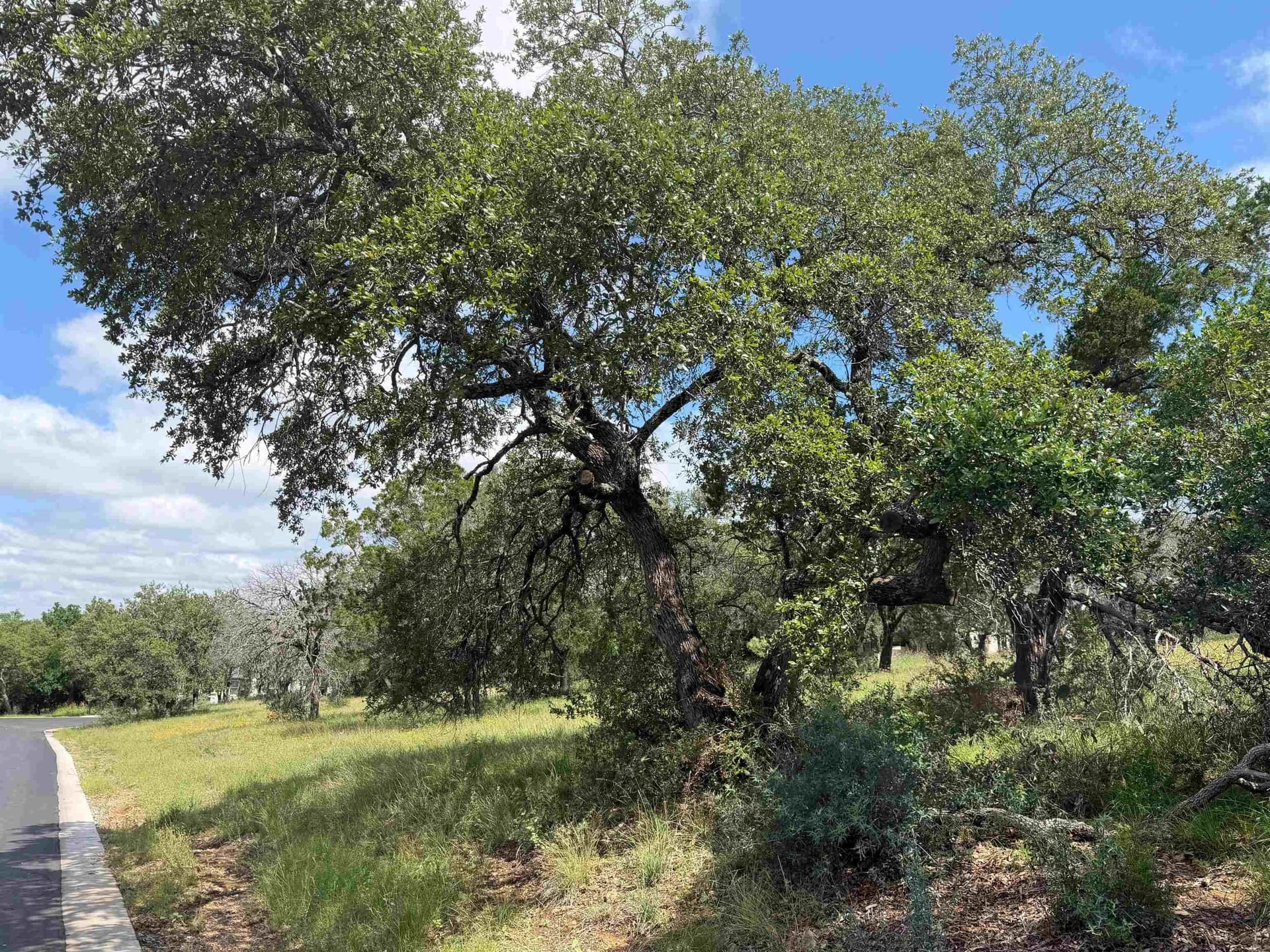 0.27 acres in Llano County featured view