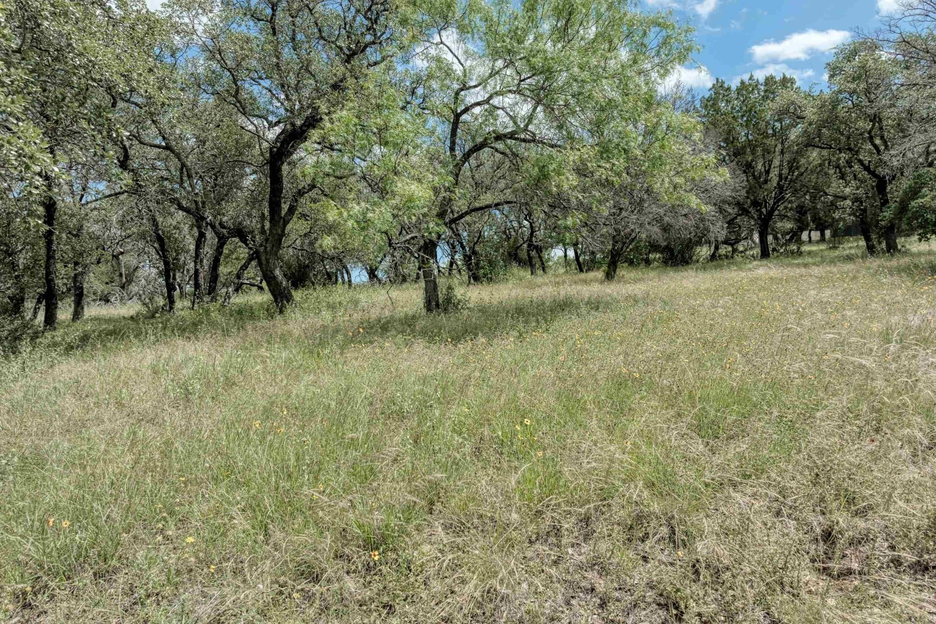 0.27 acres in Llano County - photo 12