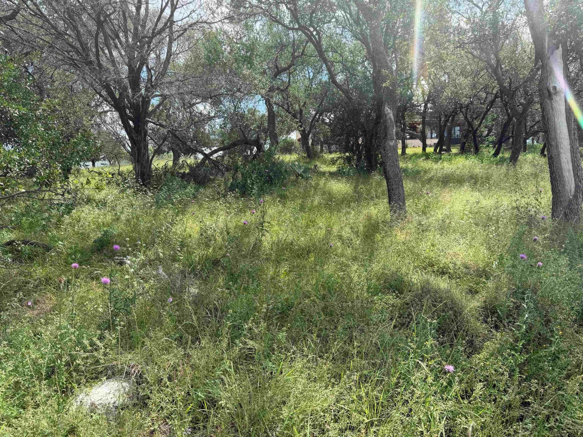 0.27 acres in Llano County - photo 18