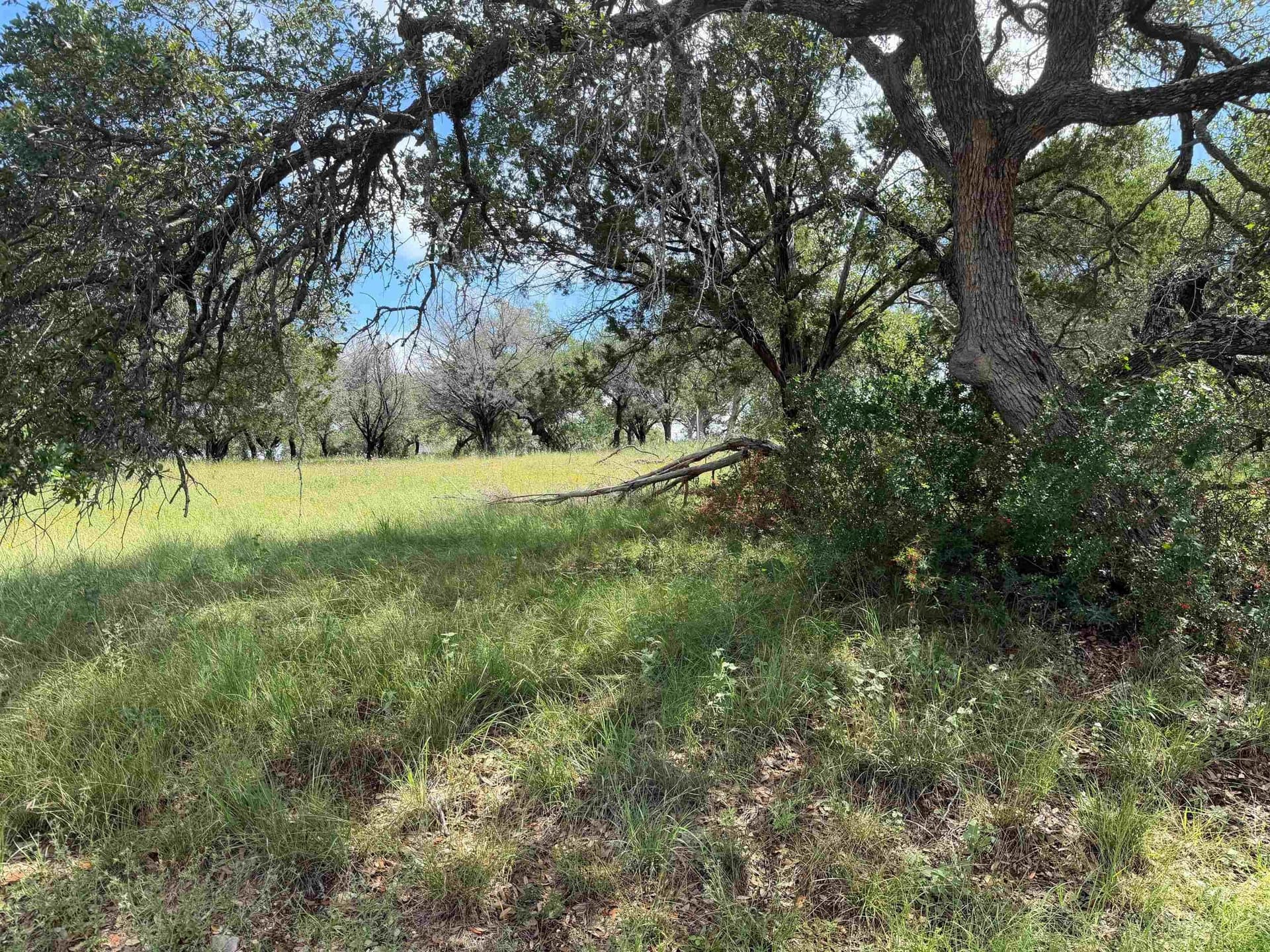 0.27 acres in Llano County - photo 14