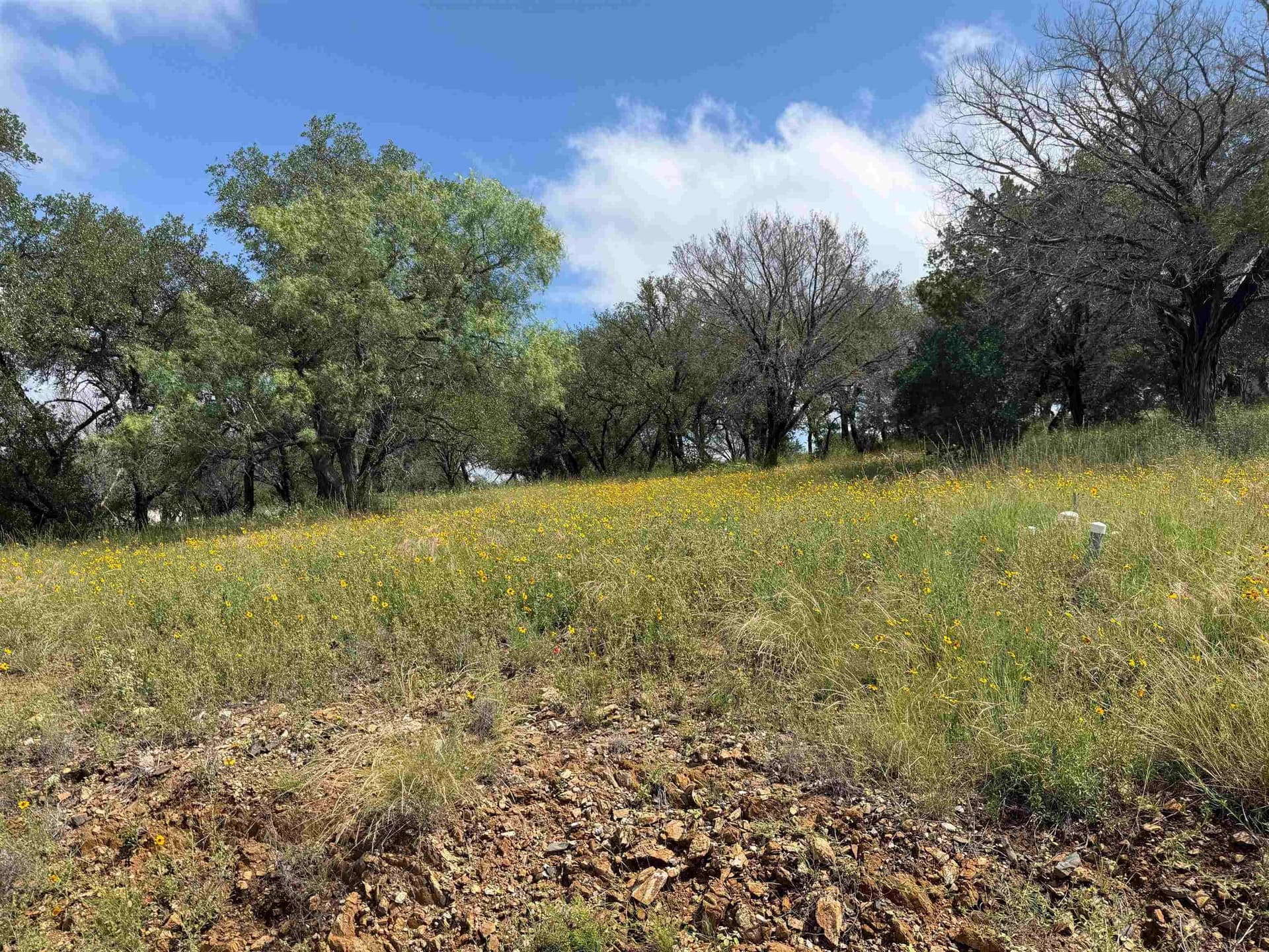 0.27 acres in Llano County gallery image 2