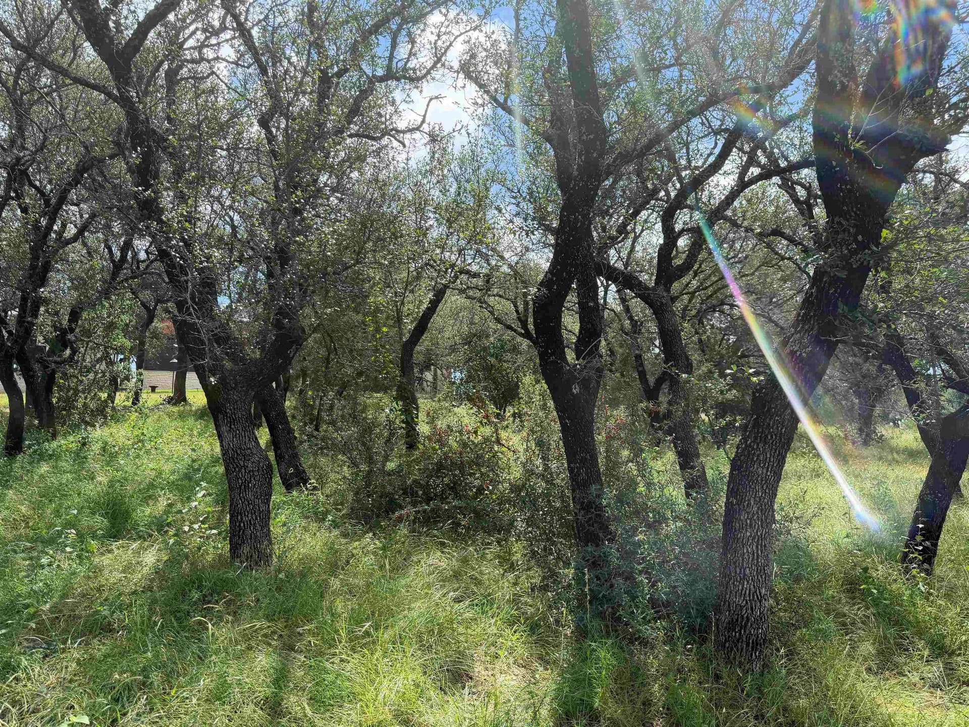 0.27 acres in Llano County - photo 21