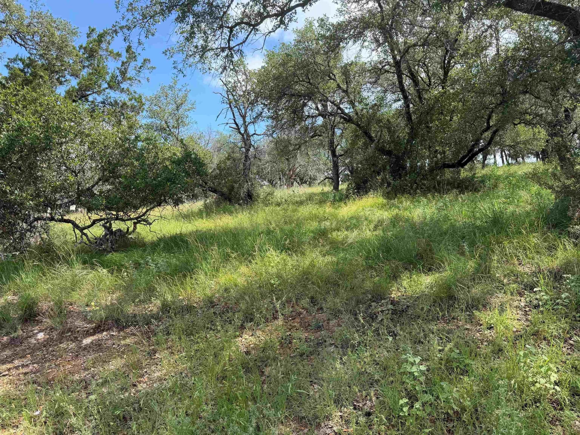 0.27 acres in Llano County gallery image 4