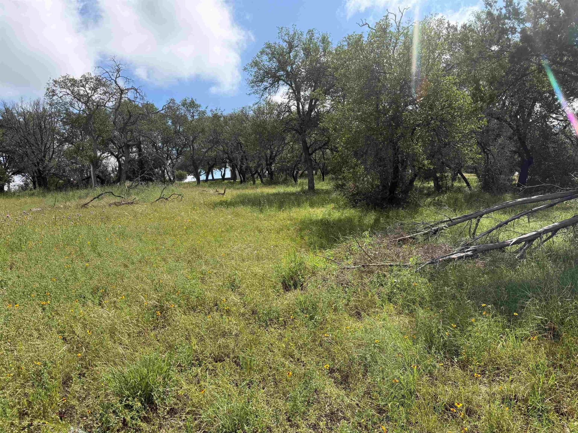 0.27 acres in Llano County - photo 16