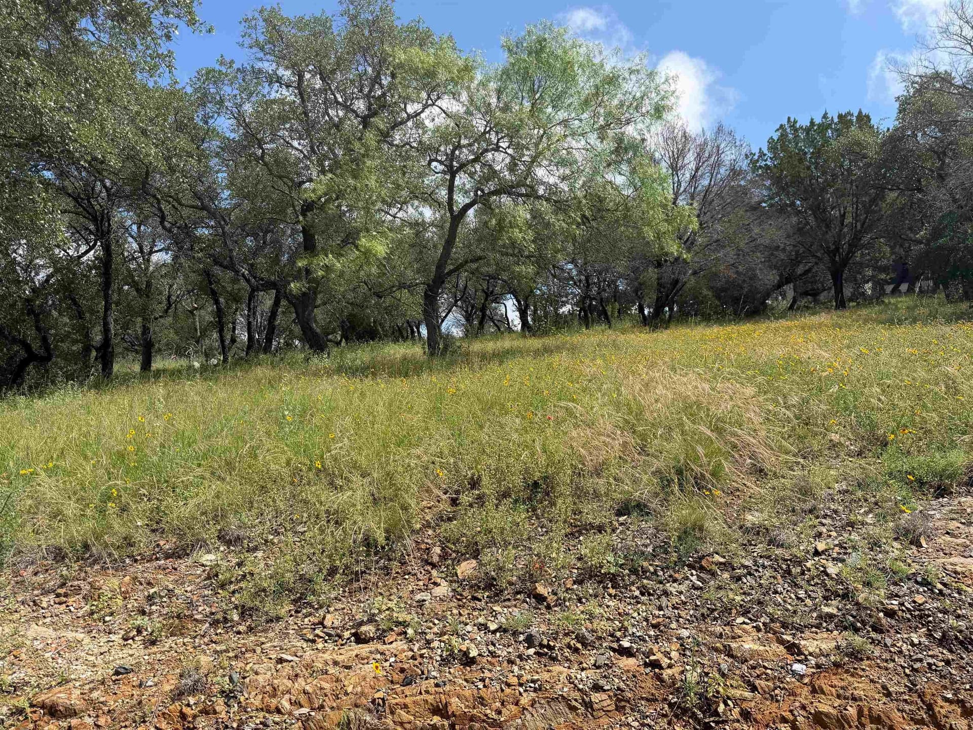 0.27 acres in Llano County gallery image 3