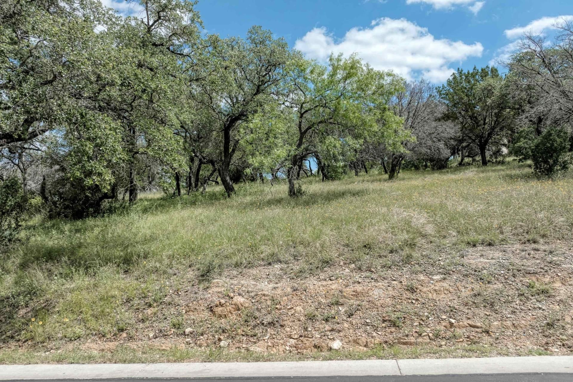 0.27 acres in Llano County gallery image 3