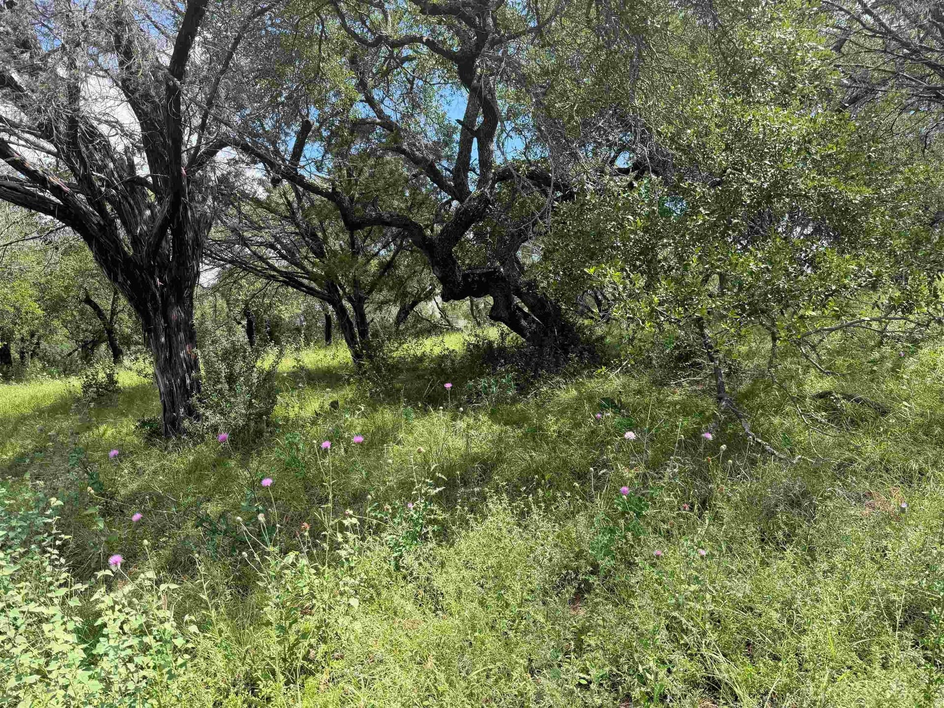 0.27 acres in Llano County - photo 17
