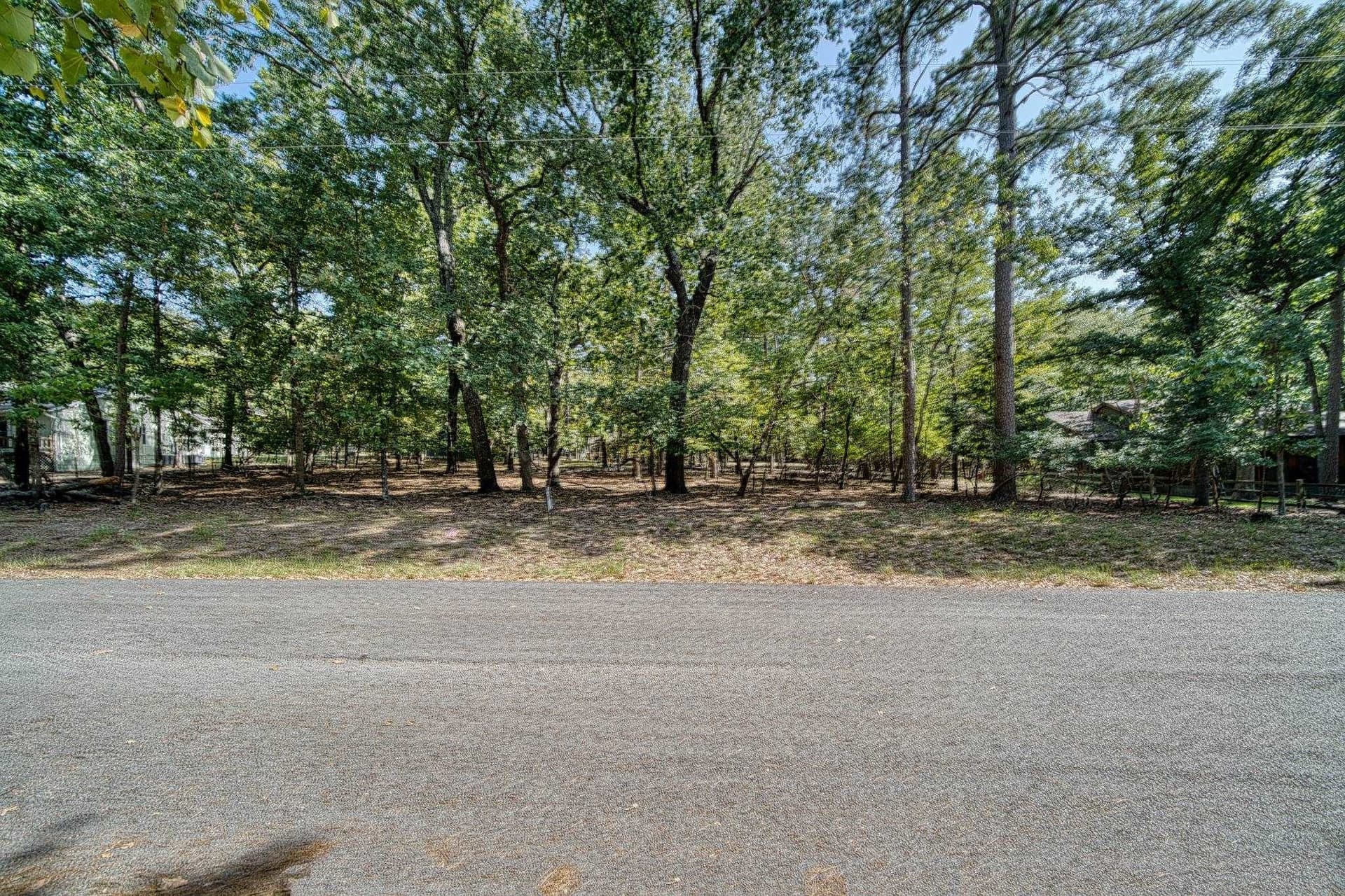 0.26 acres in Wood County - photo 3