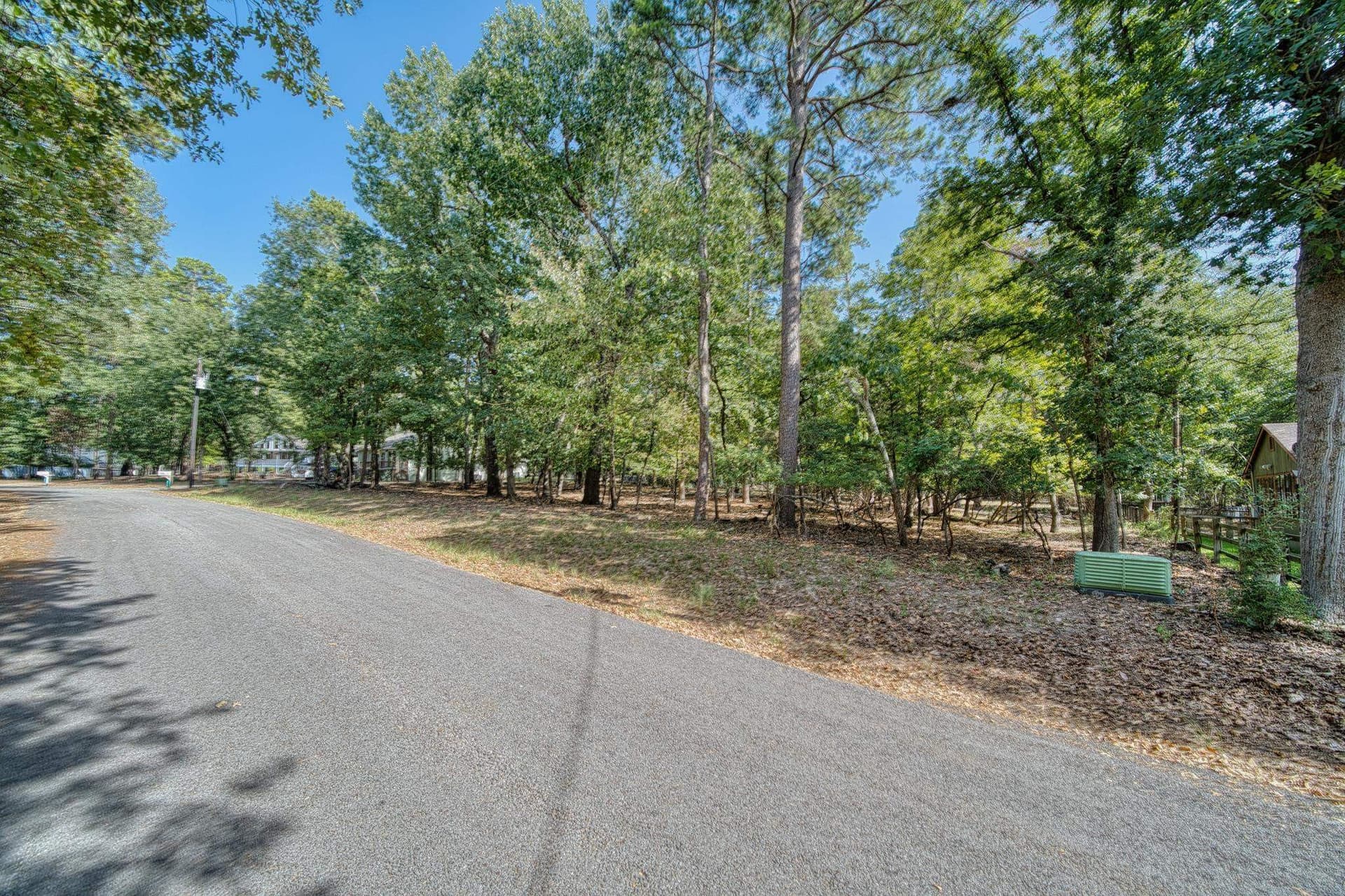 0.26 acres in Wood County - photo 4