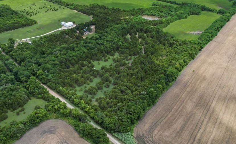 29.46 acres in Fannin County - photo 8