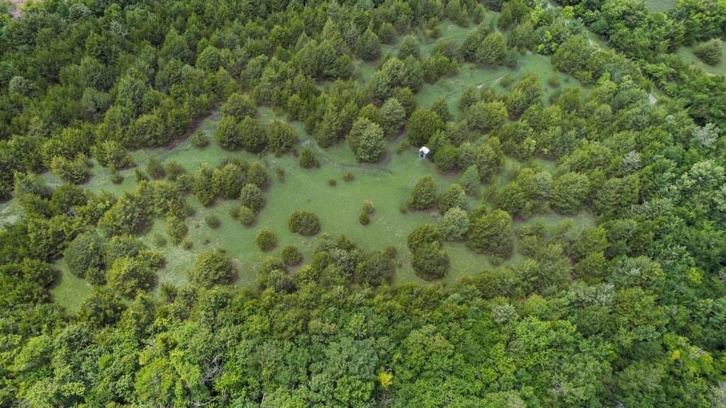 29.46 acres in Fannin County - photo 35