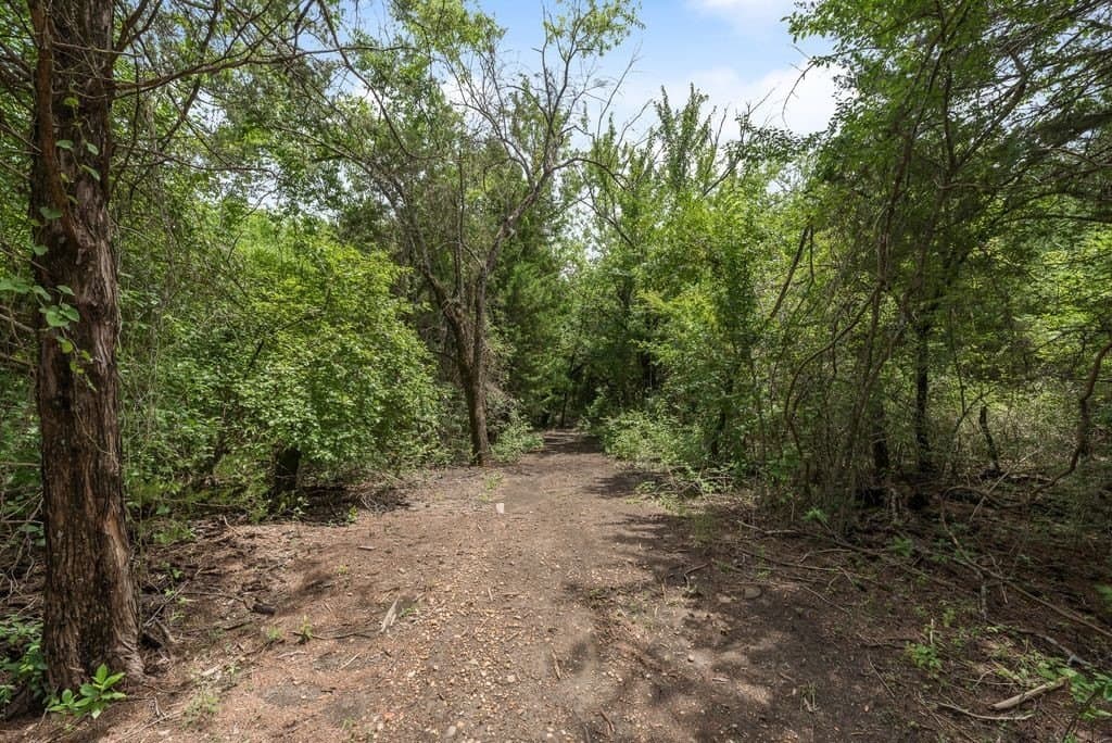 29.46 acres in Fannin County - photo 31