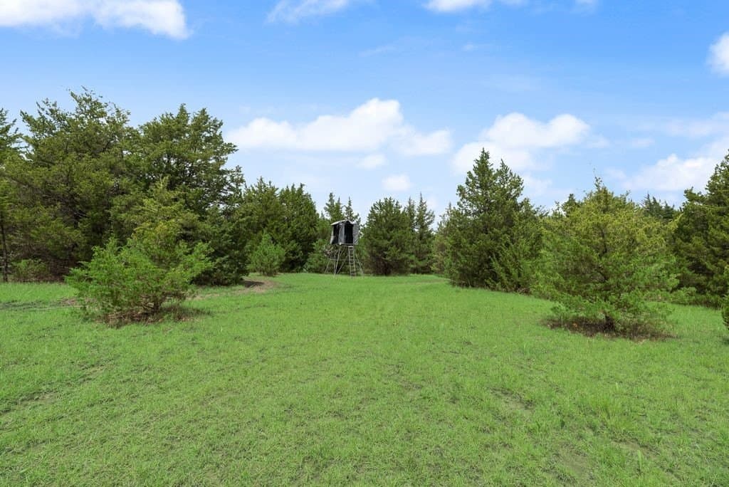 29.46 acres in Fannin County - photo 33