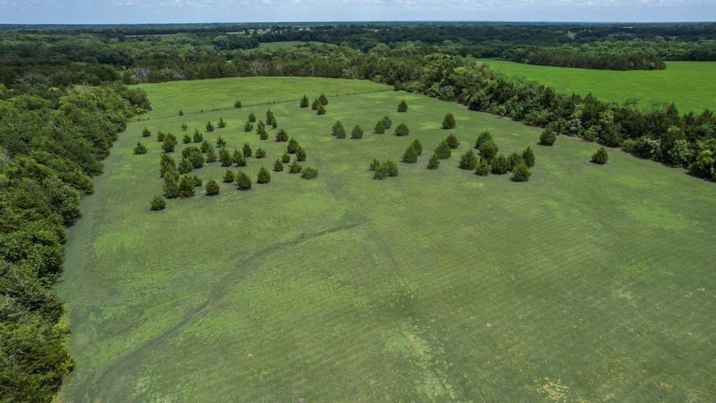 29.46 acres in Fannin County - photo 28