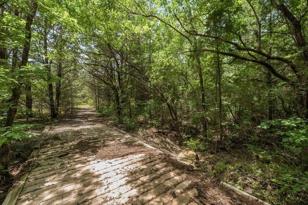 29.46 acres in Fannin County - photo 34