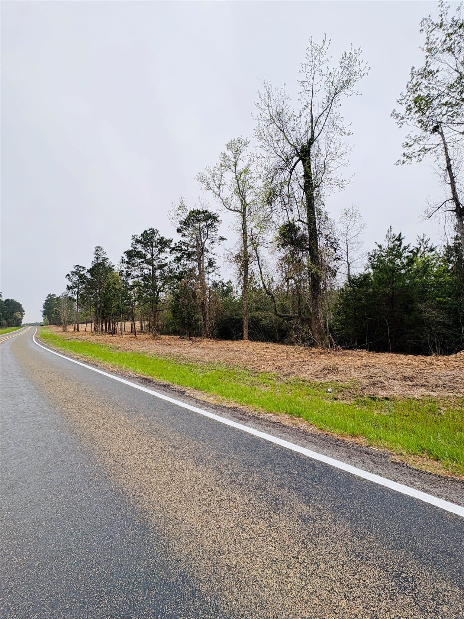 21 acres in Shelby County gallery image 2