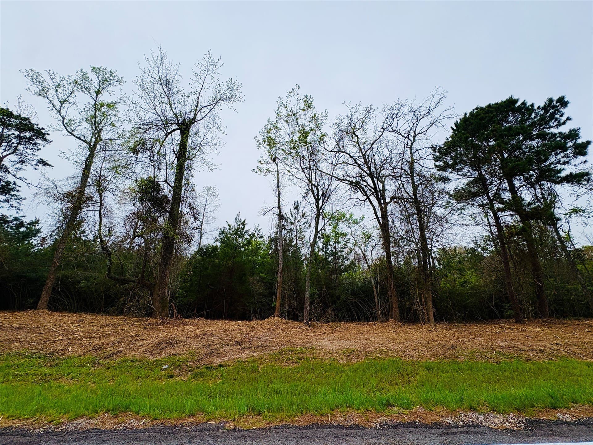 21 acres in Shelby County featured view