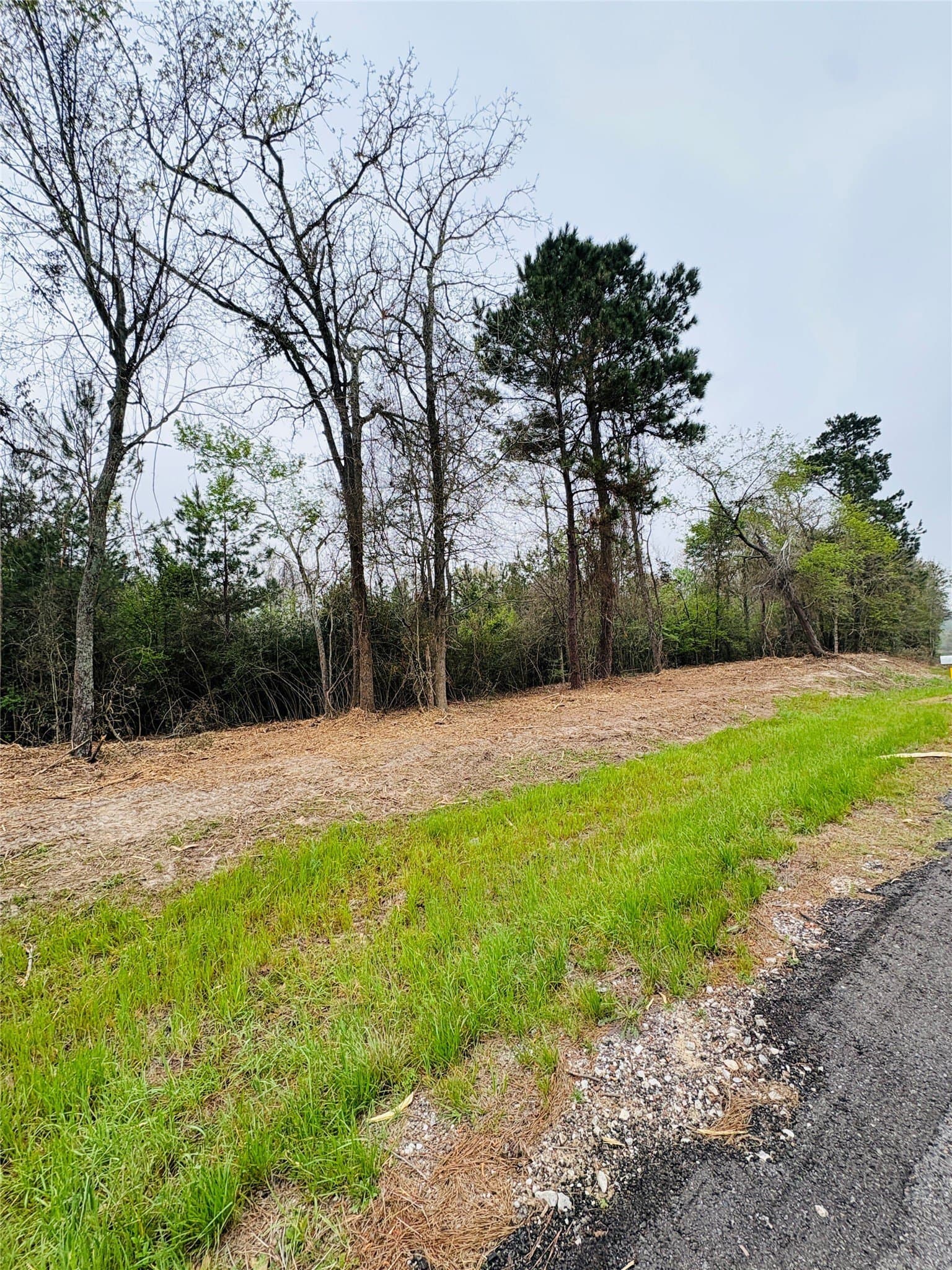 21 acres in Shelby County gallery image 4