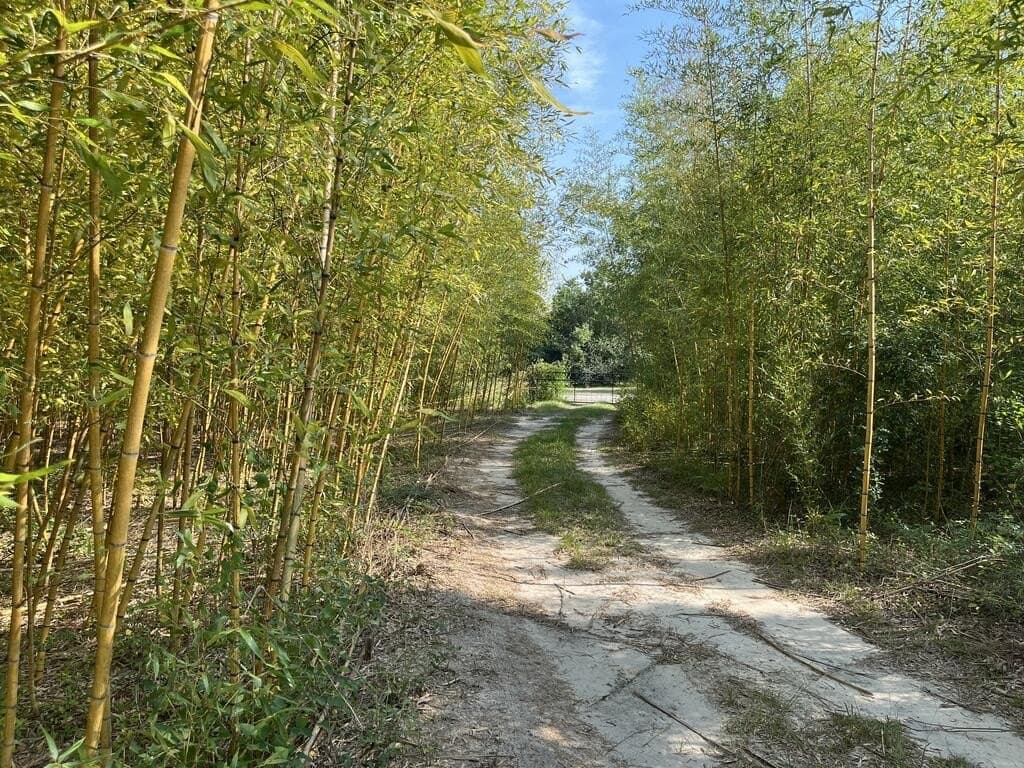19 acres in Texas County - photo 16