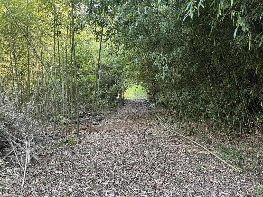 19 acres in Texas County - photo 10