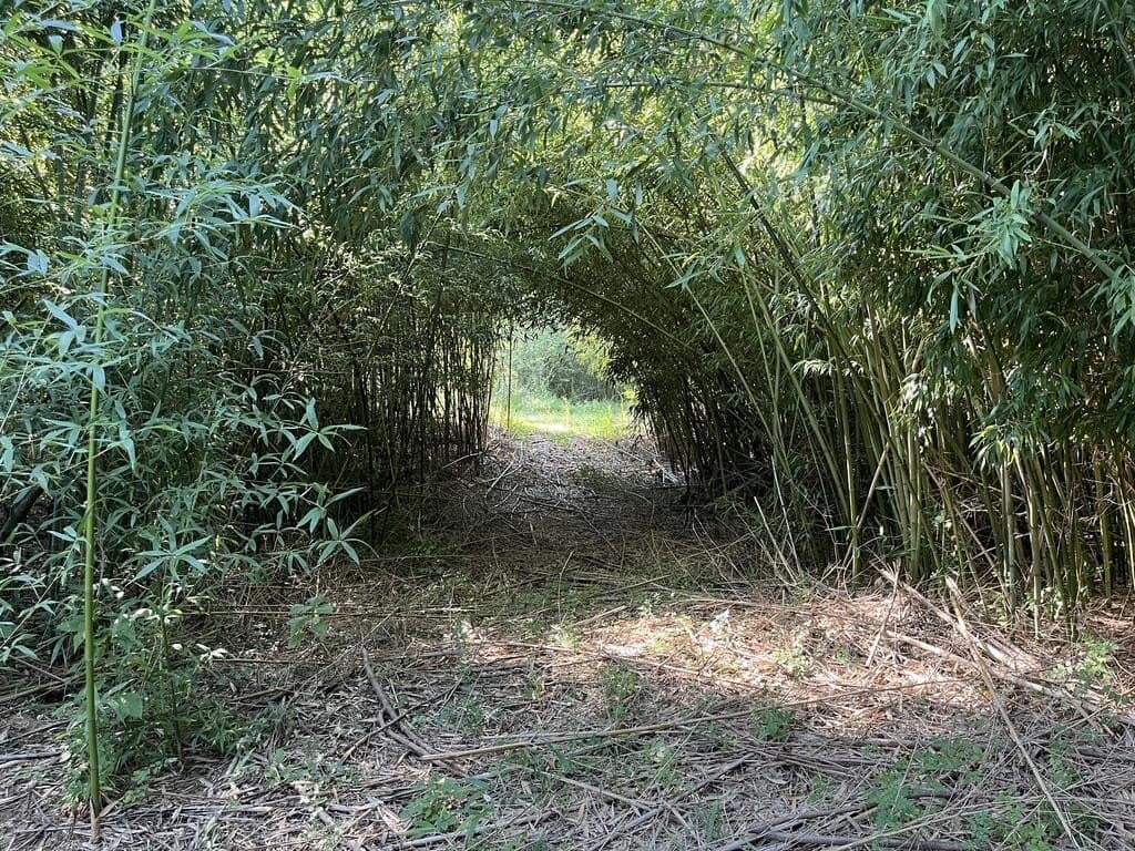 19 acres in Texas County - photo 13
