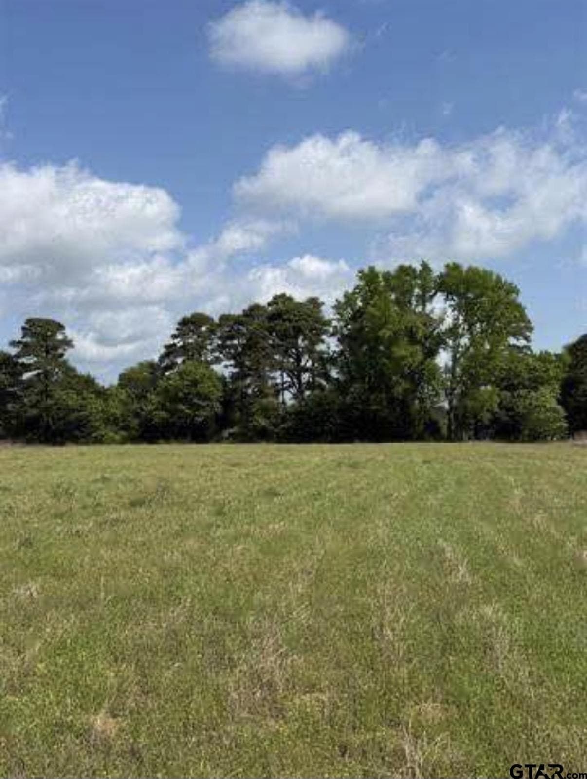 5 acres in Smith County - photo 2