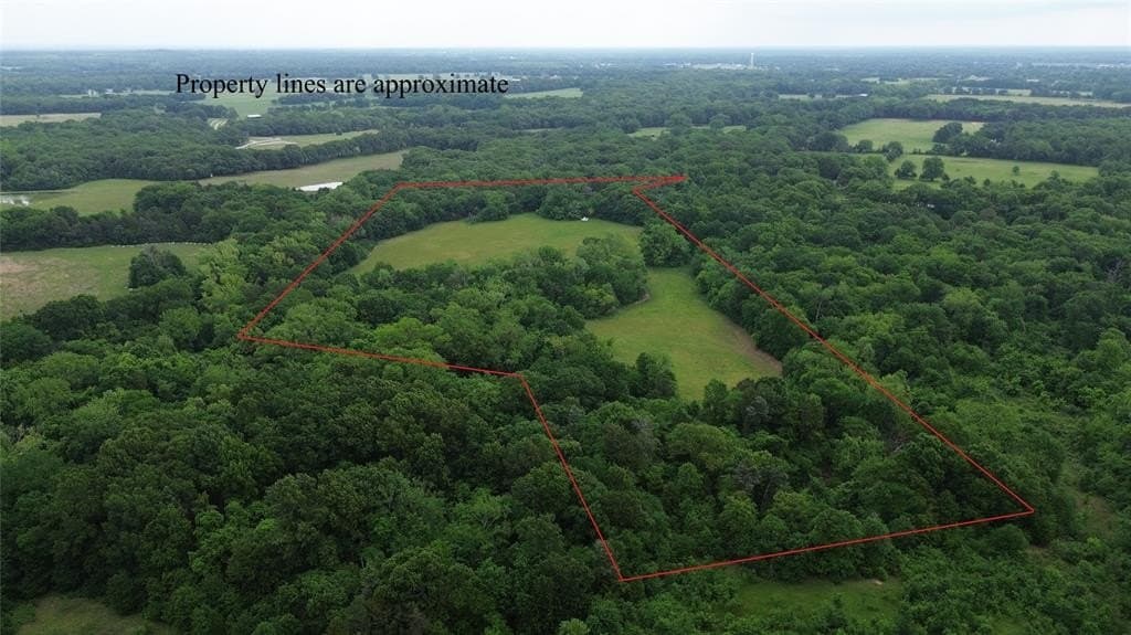 19.02 acres in Fannin County gallery image 4