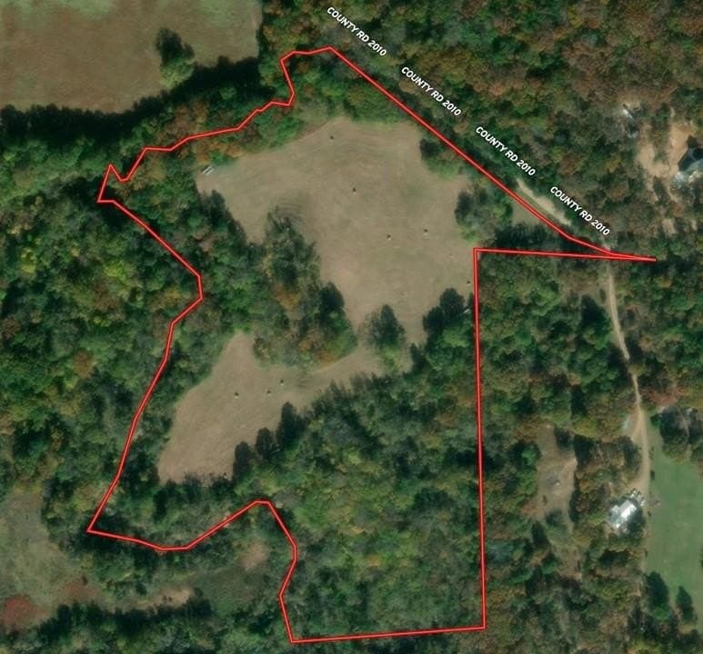 19.02 acres in Fannin County gallery image 2