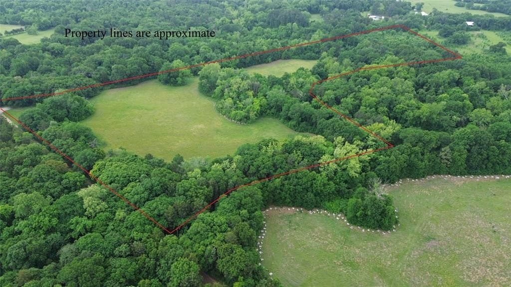 19.02 acres in Fannin County featured view