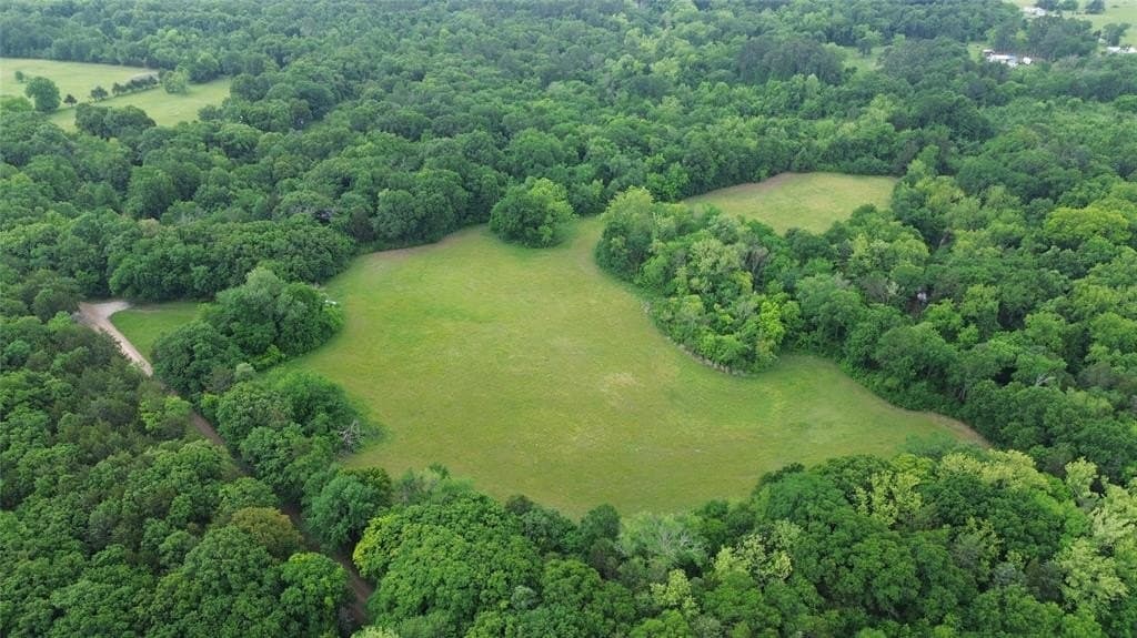 19.02 acres in Fannin County gallery image 3