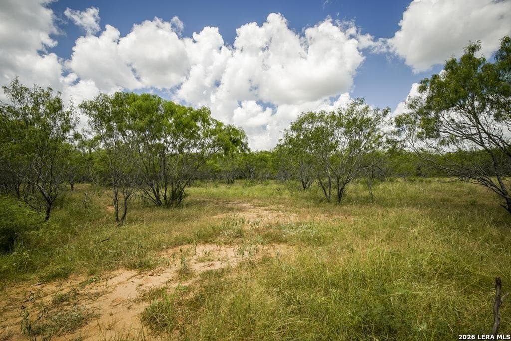 50 acres in Guadalupe County - photo 19