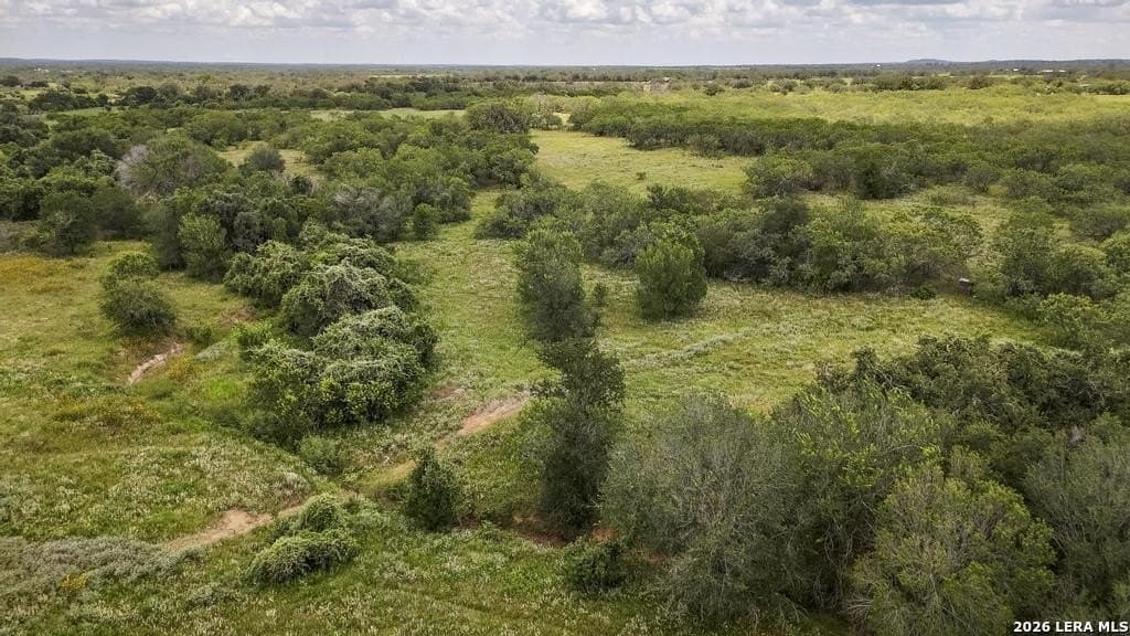 50 acres in Guadalupe County - photo 9