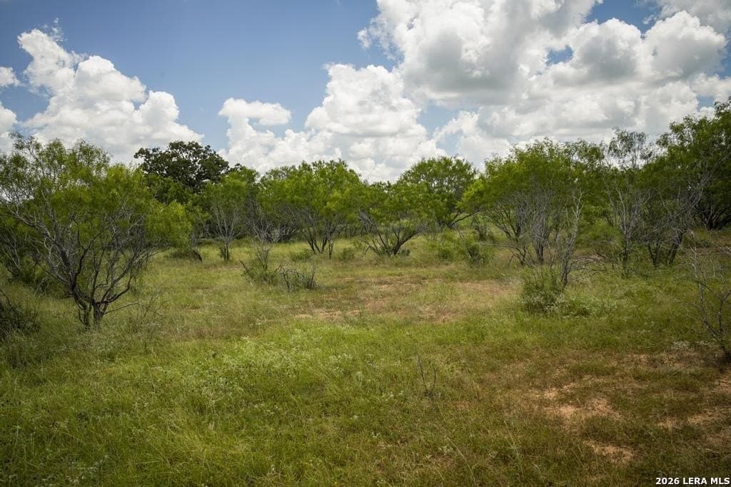 50 acres in Guadalupe County - photo 24