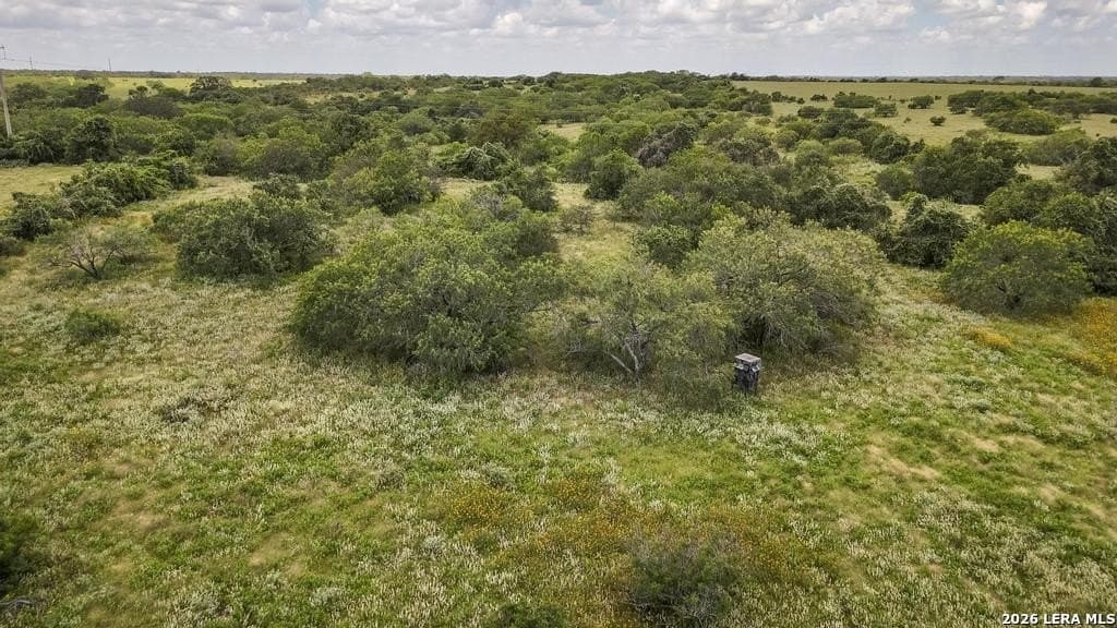 50 acres in Guadalupe County - photo 8