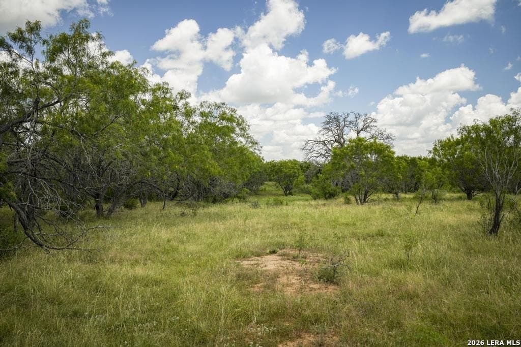 50 acres in Guadalupe County - photo 25