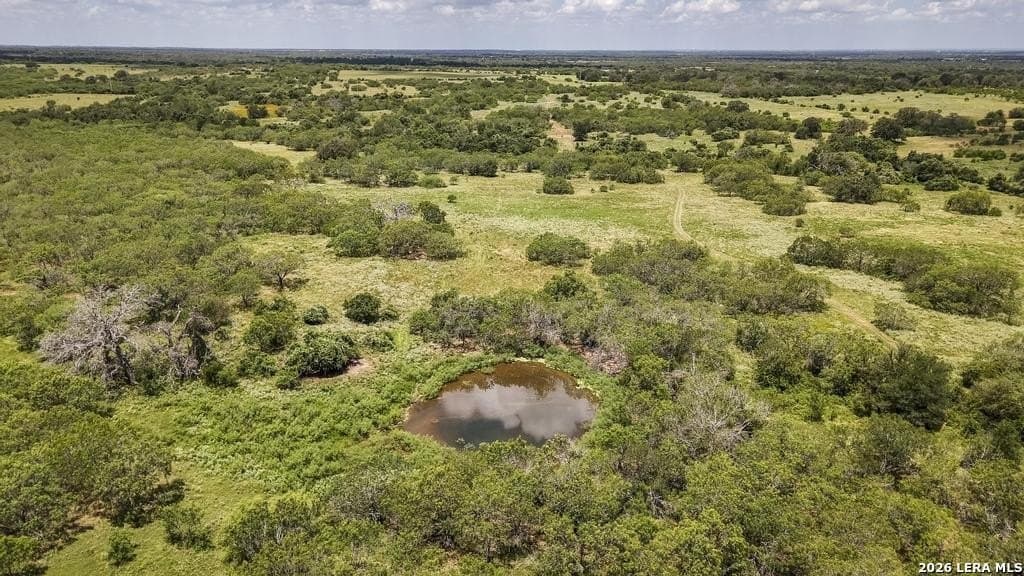 50 acres in Guadalupe County gallery image 3