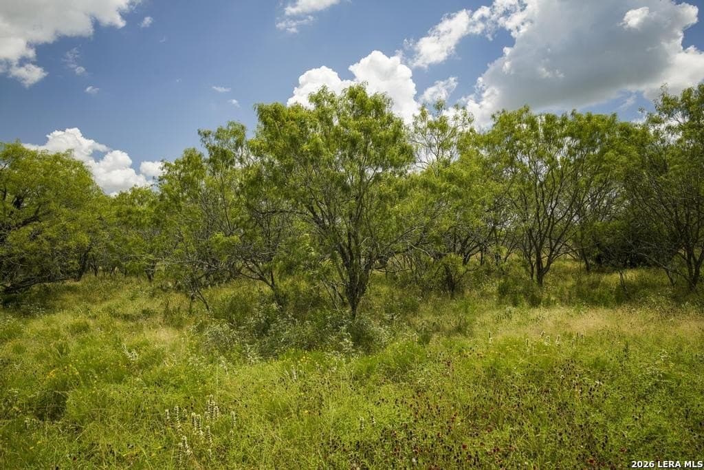 50 acres in Guadalupe County - photo 30