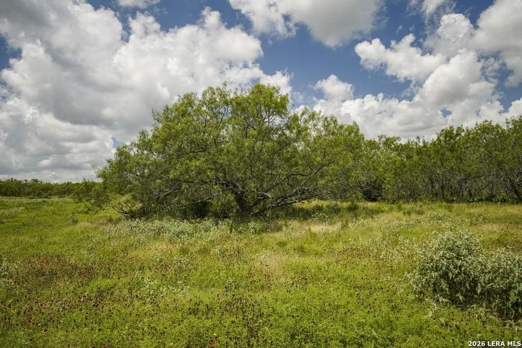 50 acres in Guadalupe County - photo 29