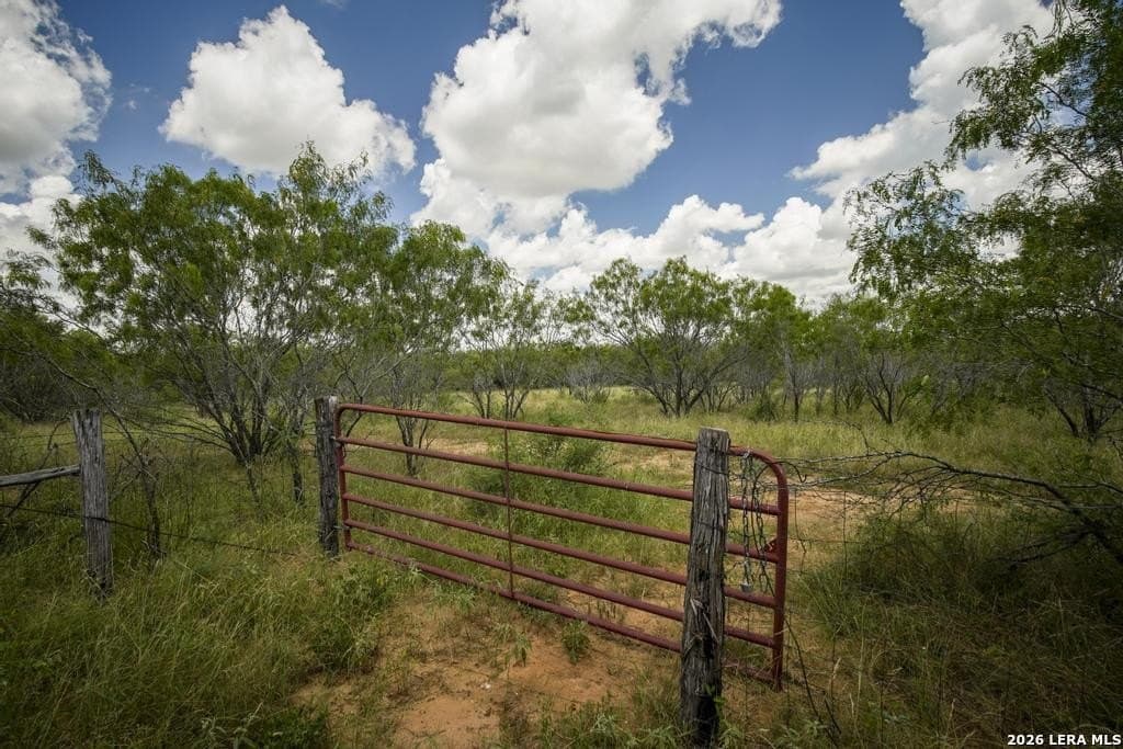 50 acres in Guadalupe County - photo 16