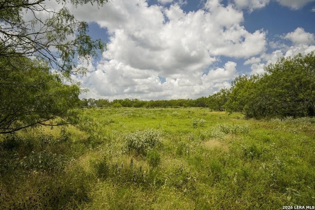 50 acres in Guadalupe County - photo 27