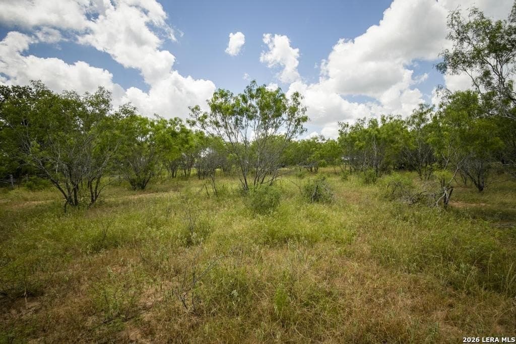 50 acres in Guadalupe County - photo 22