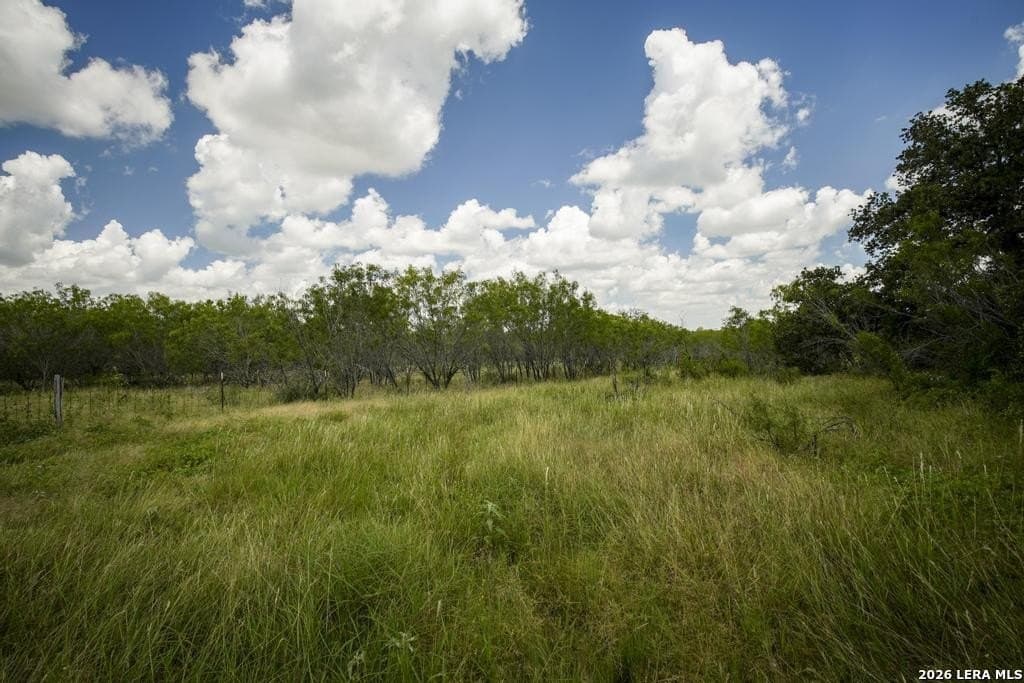 50 acres in Guadalupe County - photo 14