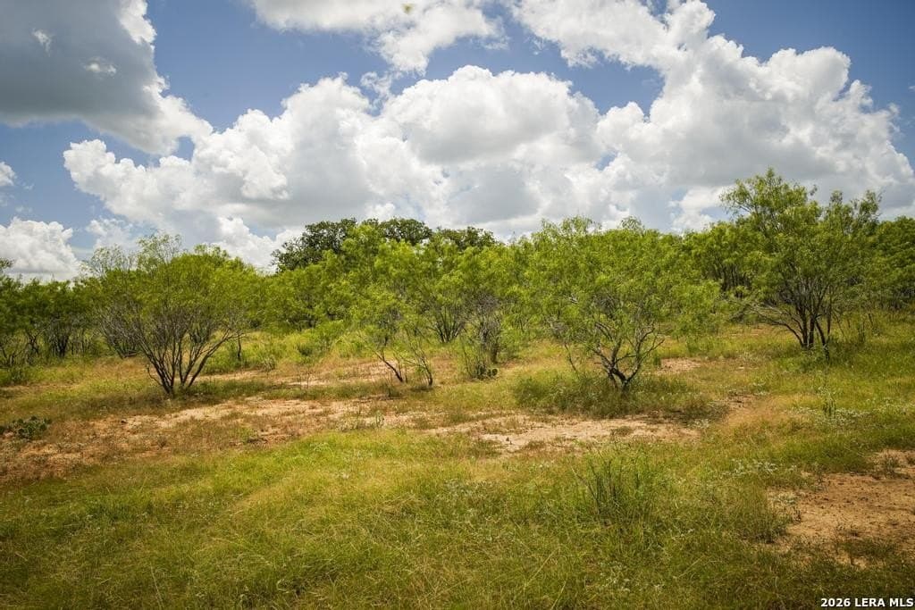 50 acres in Guadalupe County - photo 26