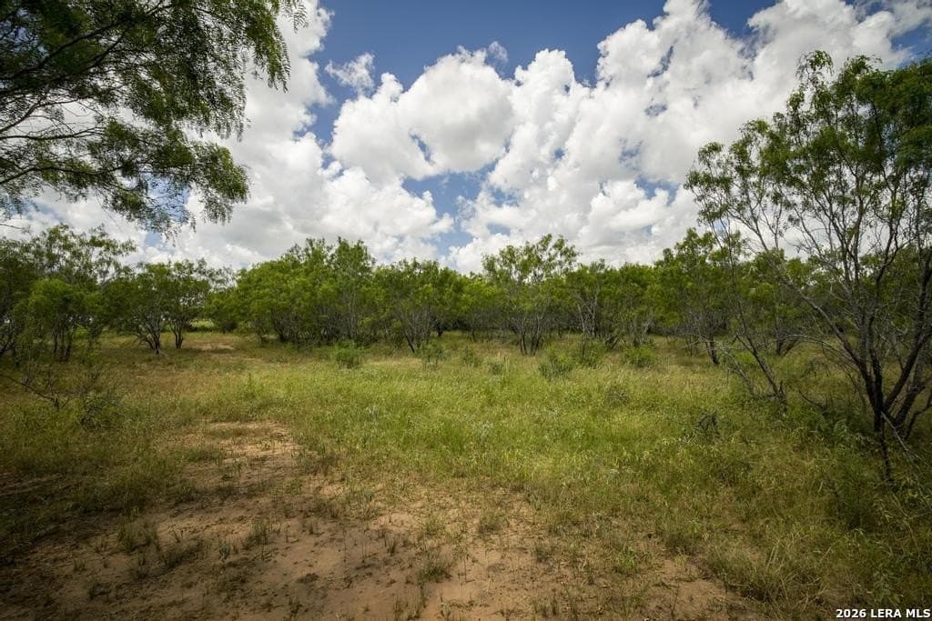 50 acres in Guadalupe County - photo 20