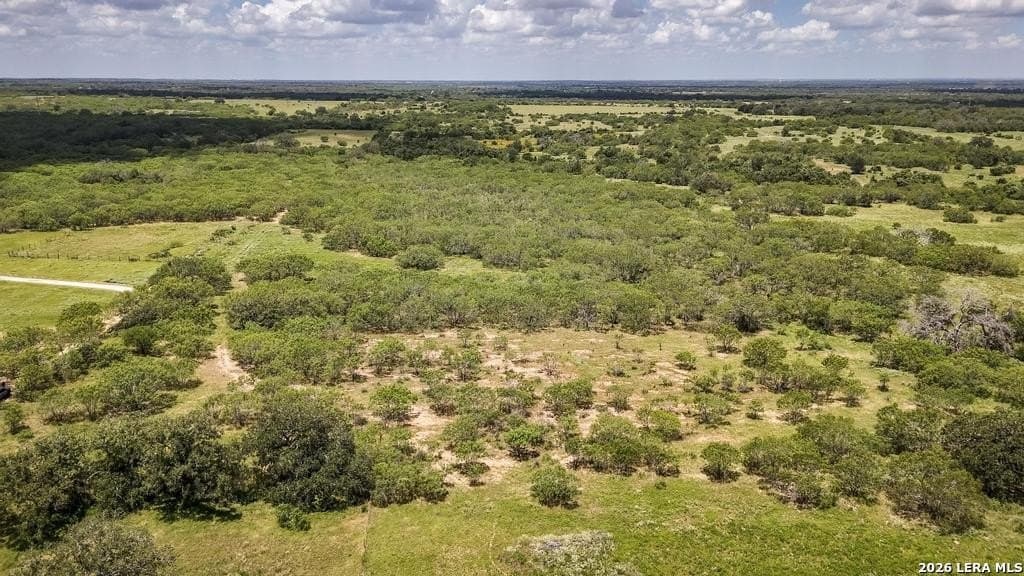 50 acres in Guadalupe County gallery image 4