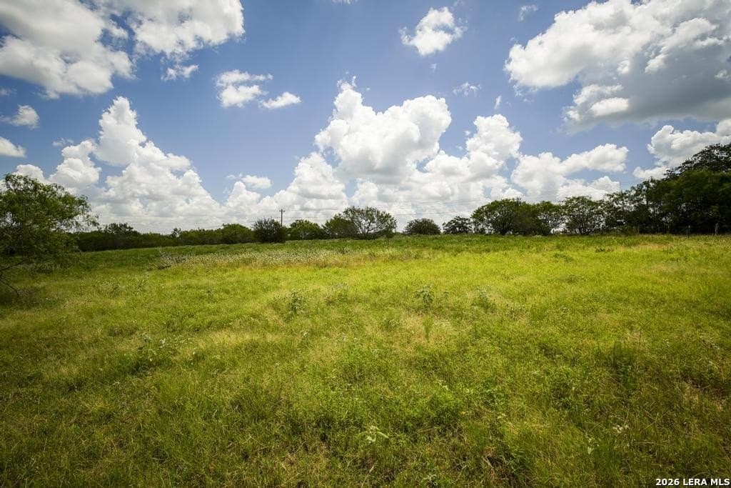 50 acres in Guadalupe County - photo 18